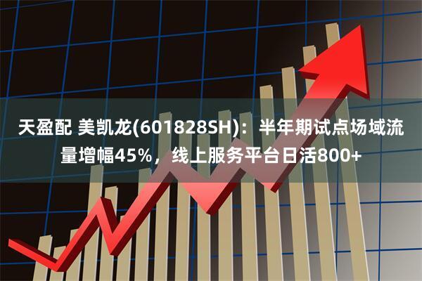 天盈配 美凯龙(601828SH)：半年期试点场域流量增幅45%，线上服务平台日活800+