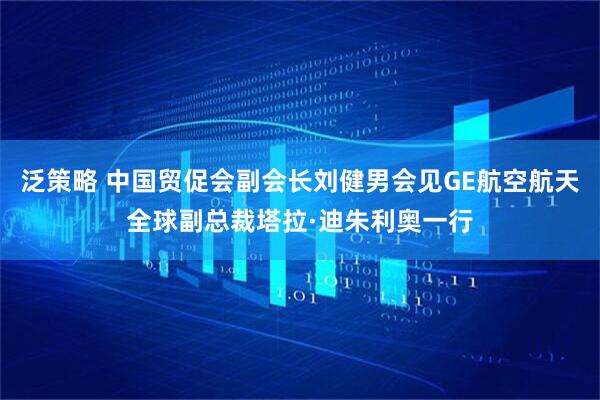 泛策略 中国贸促会副会长刘健男会见GE航空航天全球副总裁塔拉·迪朱利奥一行