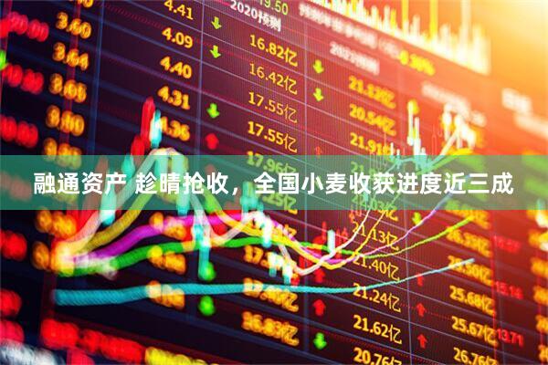 融通资产 趁晴抢收，全国小麦收获进度近三成